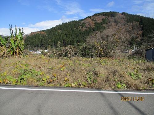 郡上市八幡町稲成字乕ヲサ